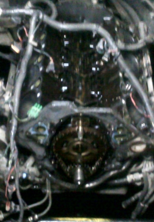07032011067.jpg}