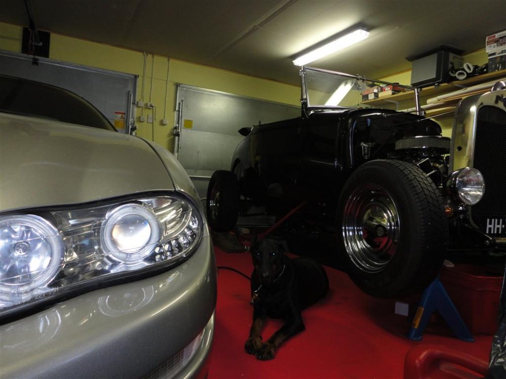 1.3.2011_022_Medium.JPG}