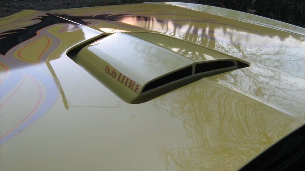 trans am skuuppi.JPG