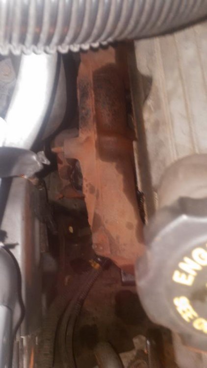 20151123_006s.thumb.jpg.b5d413b2ee75fadd44980857458e7067.jpg