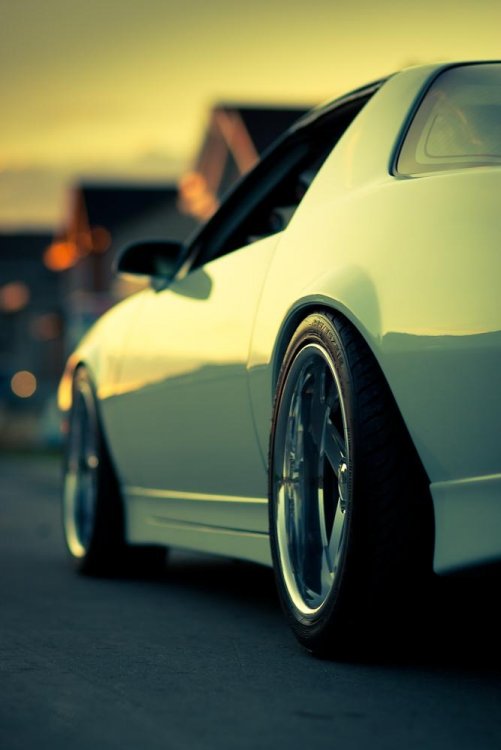24324710273_large.JPG}