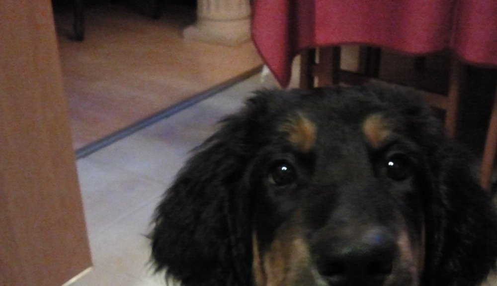 554180661_2012-09-14_18_58.59_1__Kopio.thumb.jpg.13a0d8c8bdc1c6510e9f5465a16c14c0.jpg