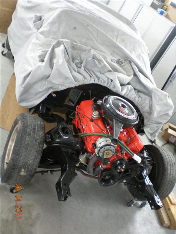 DSCN1703_Medium.JPG}