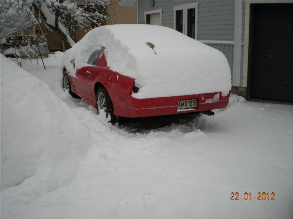 DSCN2245_Medium.JPG}