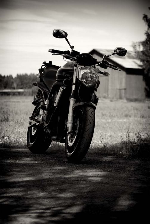 DSC_0049-Edit-2.jpg}