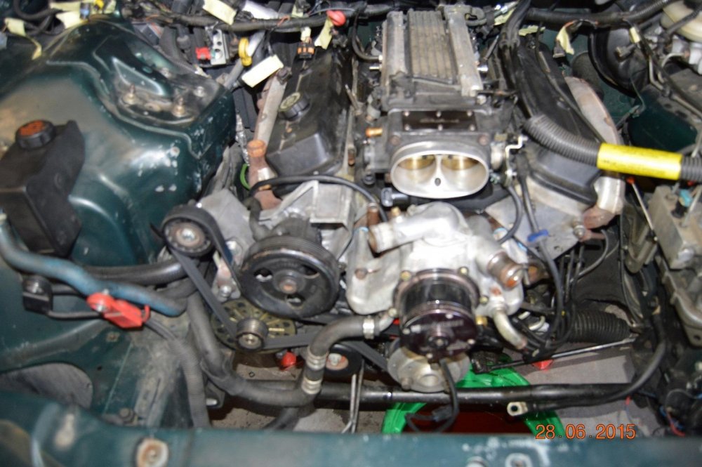 DSC_0572.thumb.JPG.63d80419080ac9dafc929c2cc6cdd89d.JPG