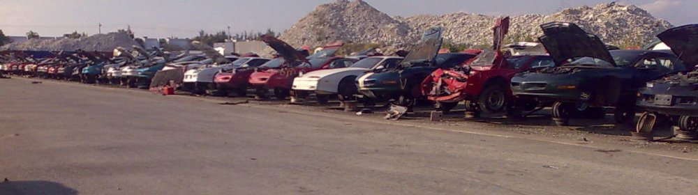 F-Bodyt_purkaamolla.jpg}