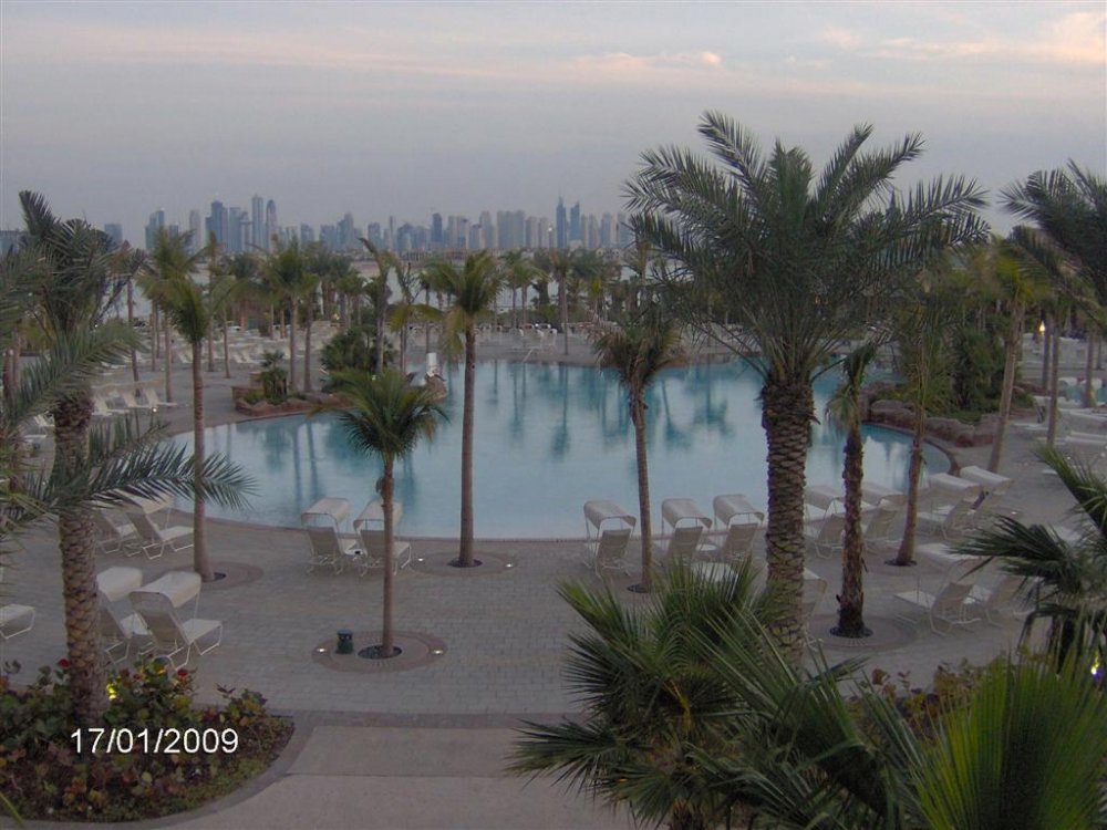 IM000340_Large_Large.JPG}