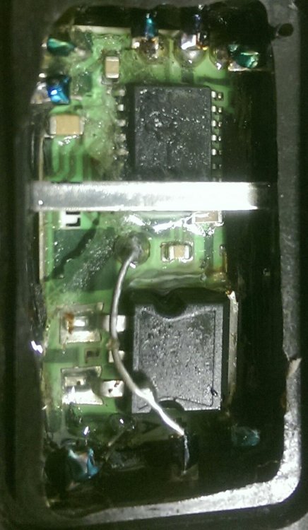 IMAG0308_2.thumb.jpg.ee12764d0b741f9bb27d652641b6c57f.jpg
