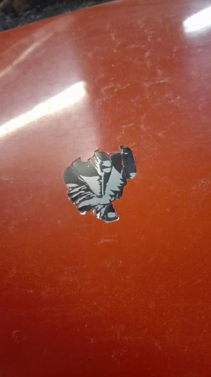 IMG-20171202-WA0004.thumb.jpg.b666c922b592791ae8523a726ed2d864.jpg