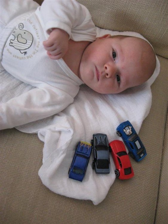 IMG_0514_Medium.JPG}