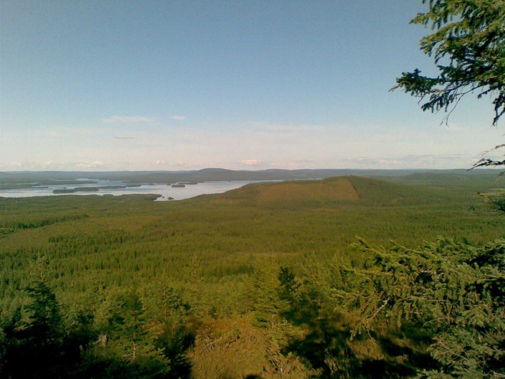 Monkky_reissu_pieni.jpg}