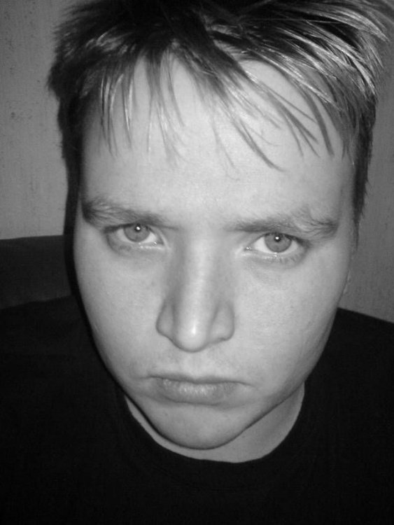 MustValkee2.jpg}