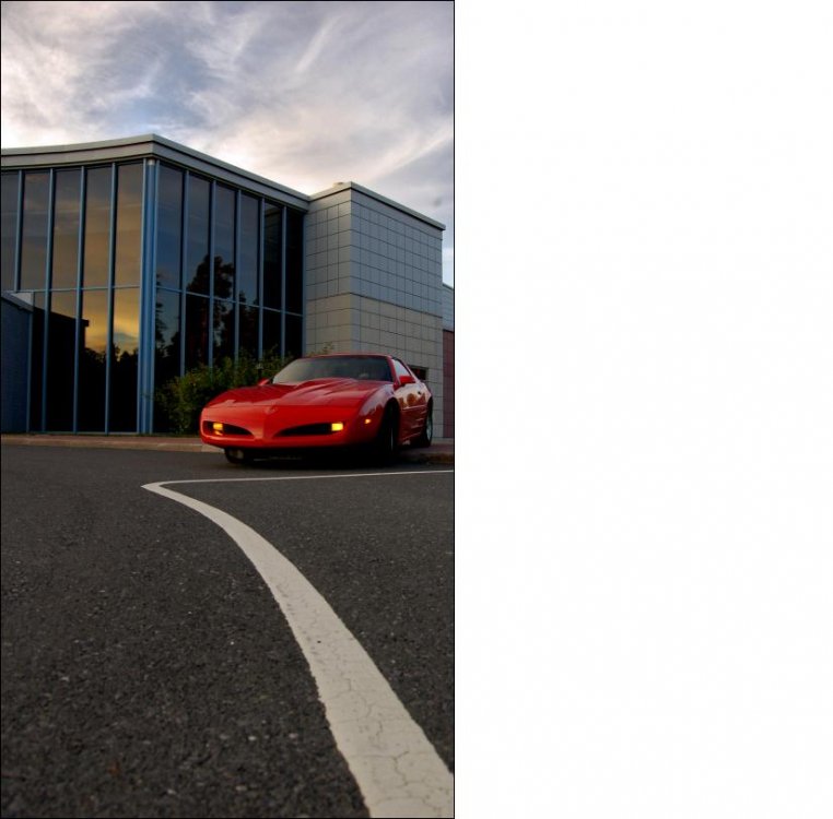 Parkit_ja_markkerit.JPG}