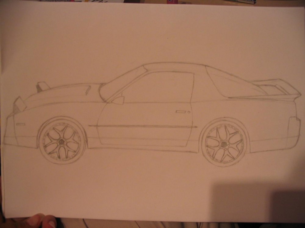 Ponu_piirrettyna.JPG}