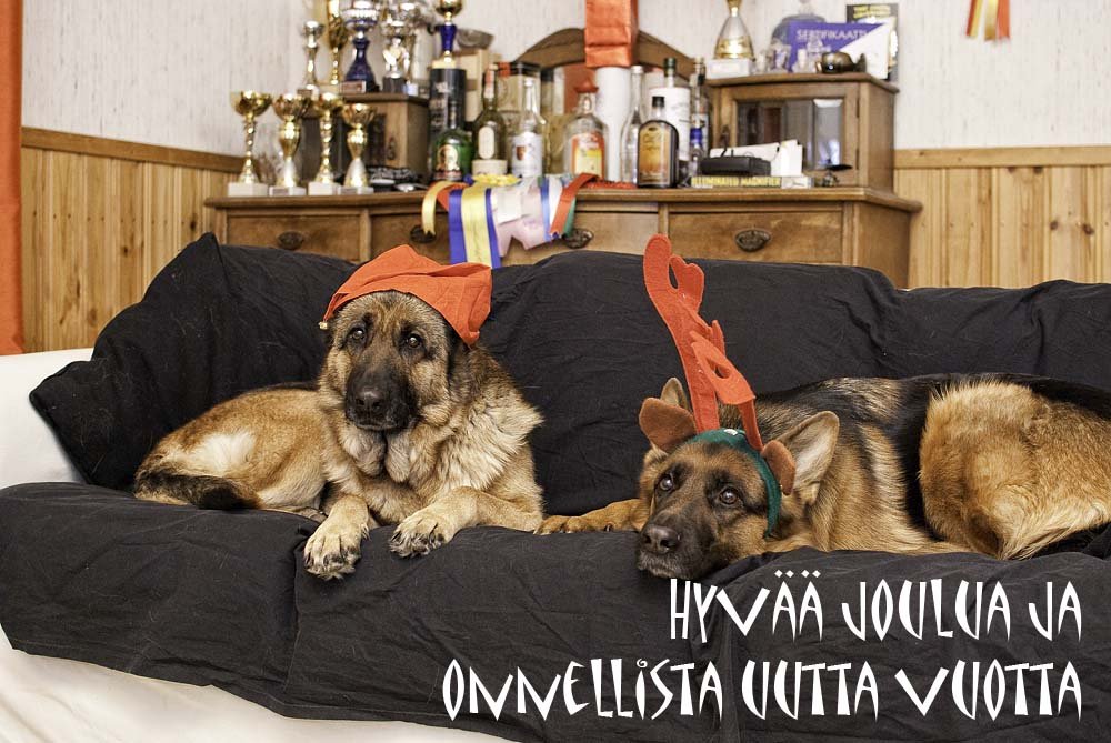 Tytot_sohvalla.jpg}