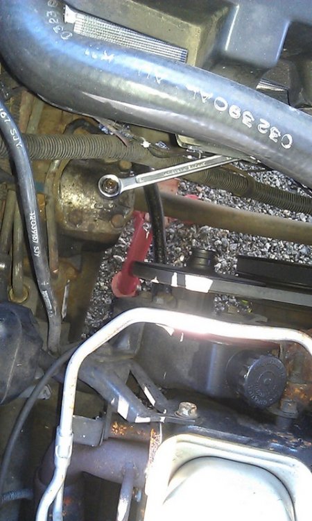 apusimpukka_z33_pieni.jpg}