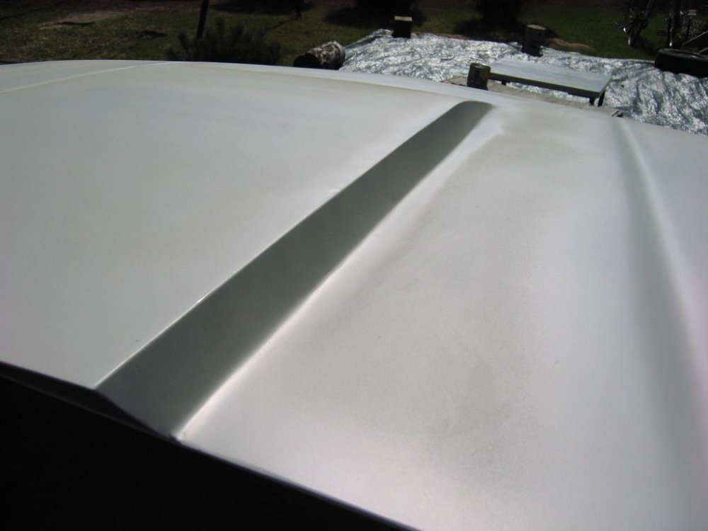 cowlinduction_014.jpg}