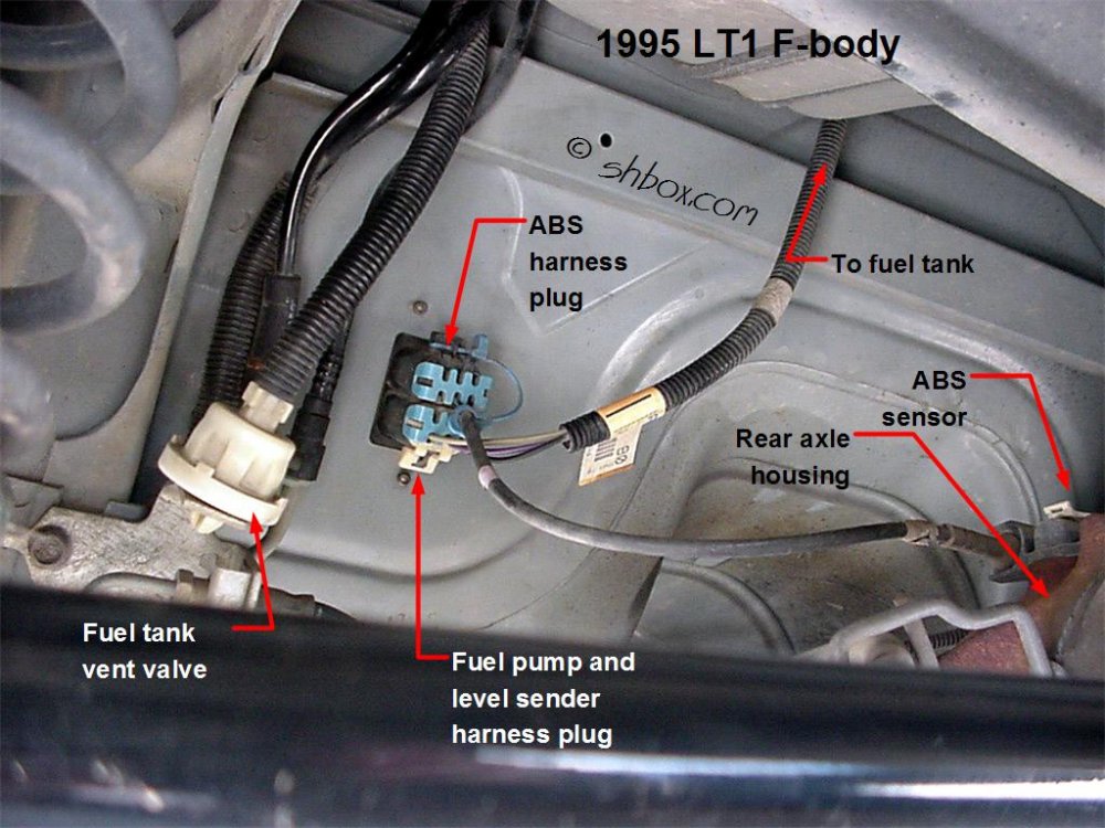 fuel_pump_wiring.thumb.jpg.776deb8ce6469f49e1f8e6f46c21b00c.jpg