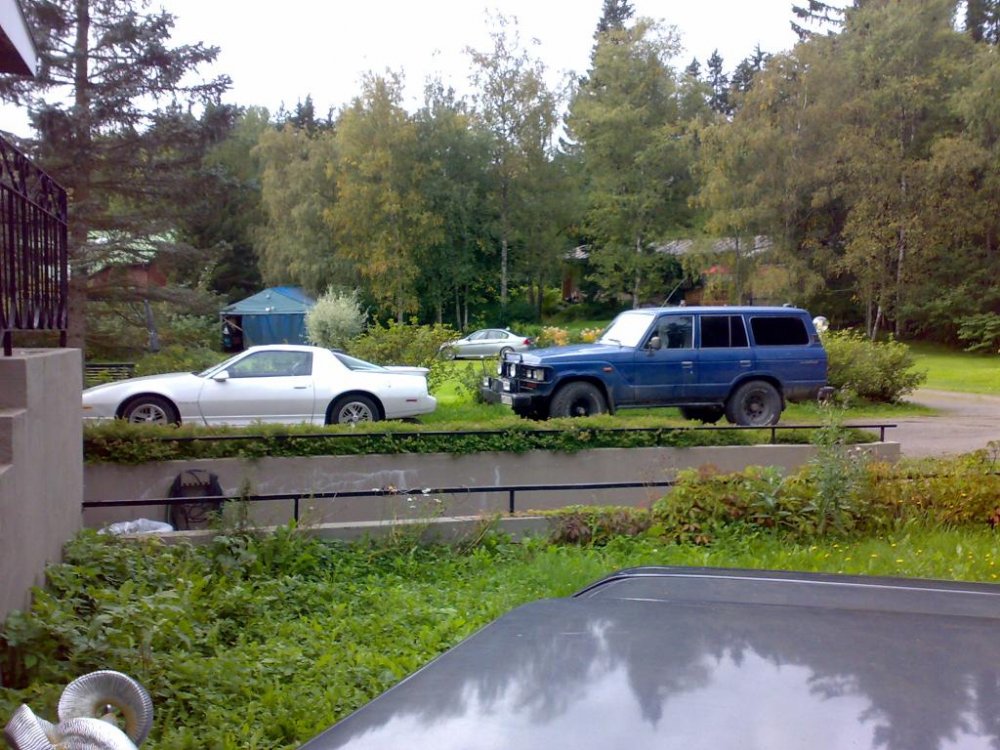 kaverinhankinta.jpg}