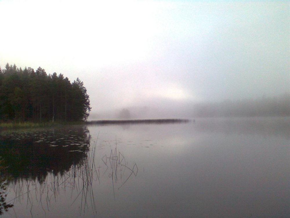 loma_yhdella_kuvalla.jpg}