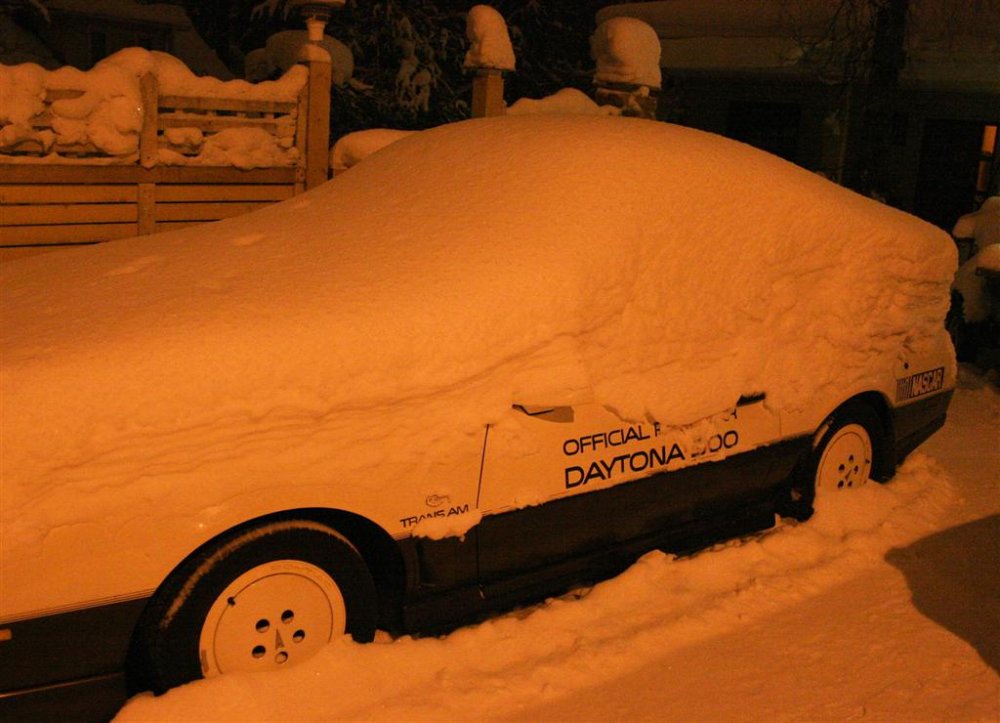ransu_ja_hanget_korkeat__04-01-2011.jpg}
