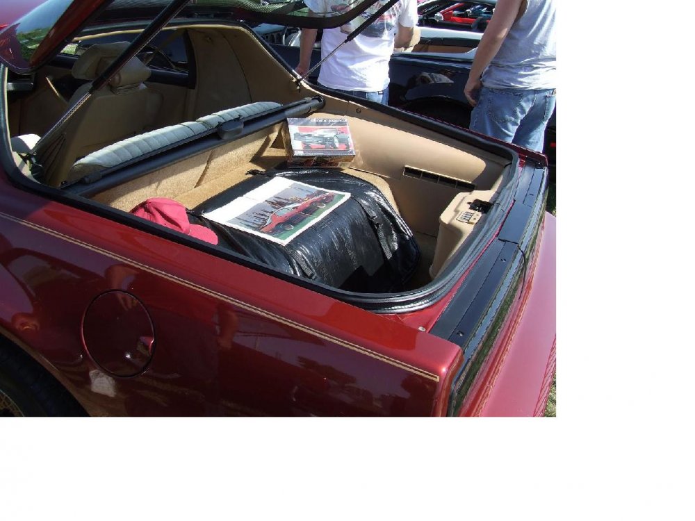 trunk.jpg}