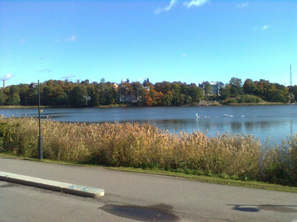 urbaani_maalaismaisema.jpg}