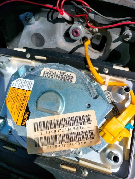 IMG20230725103141 (1).jpg