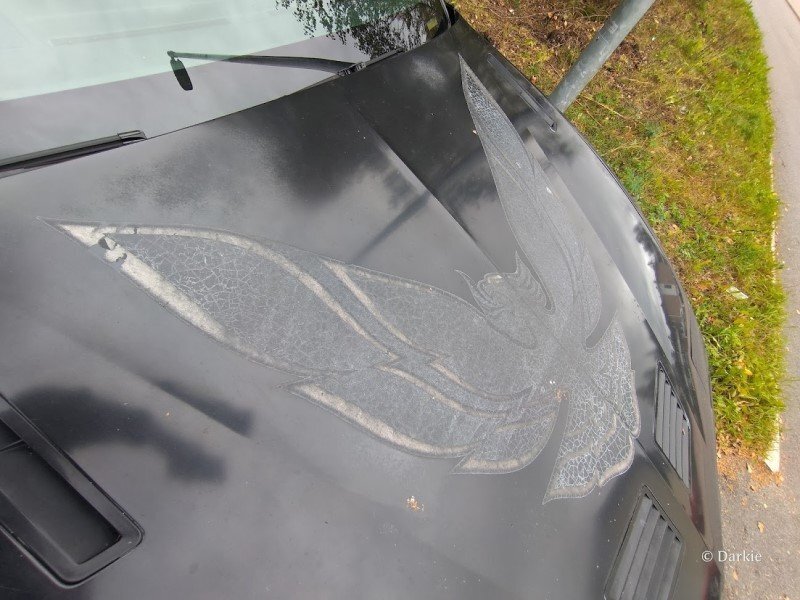 Pontiac_konepelti.jpg.8dd6d2a7c10a778c0f9c6c61c5e2ab33.jpg